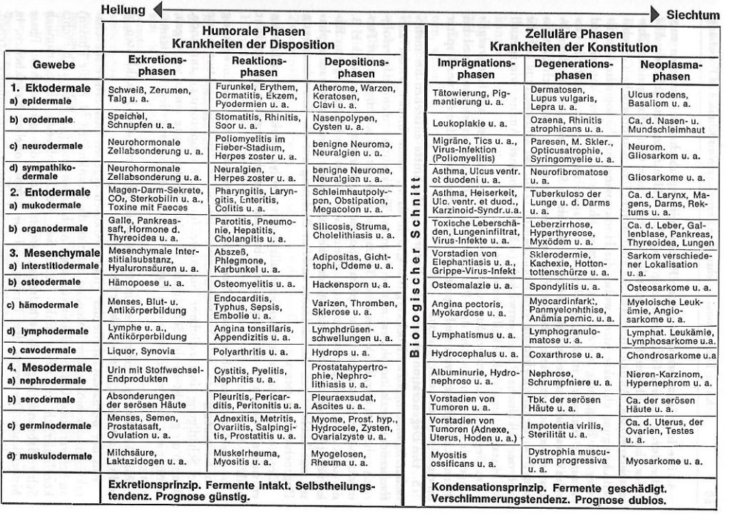 Die 6 Phasen Tabelle nach Dr. Reckeweg