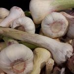 Knoblauch Knolle frisch