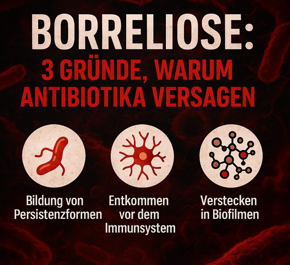 www.naturheilt.com