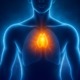Leuchtende Thymusdrüse im menschlichen Brustkorb – medizinische Illustration mit vitaler Immunaktivierung