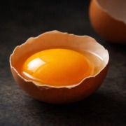 Nahaufnahme eines unversehrten Eigelbs in aufgeschlagener Eierschale vor dunklem Hintergrund, Symbol für cholinreiche Ernährung