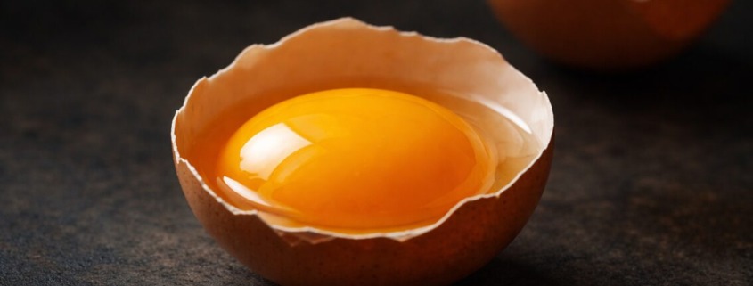 Nahaufnahme eines unversehrten Eigelbs in aufgeschlagener Eierschale vor dunklem Hintergrund, Symbol für cholinreiche Ernährung