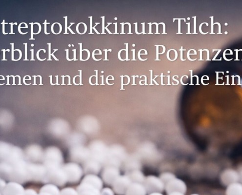 Streptokokkinum Tilch Globuli neben brauner Arzneiflasche als Beitragsbild zur Übersicht über Potenzen und Einnahme